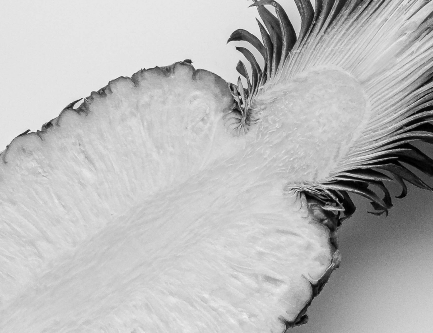 Bromelain
